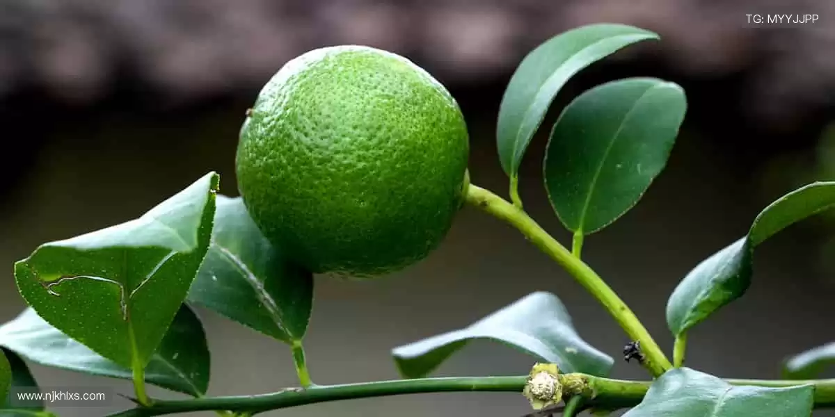 🏆 周边好物，点燃你的热爱！